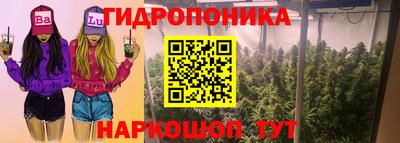спиды Волжск