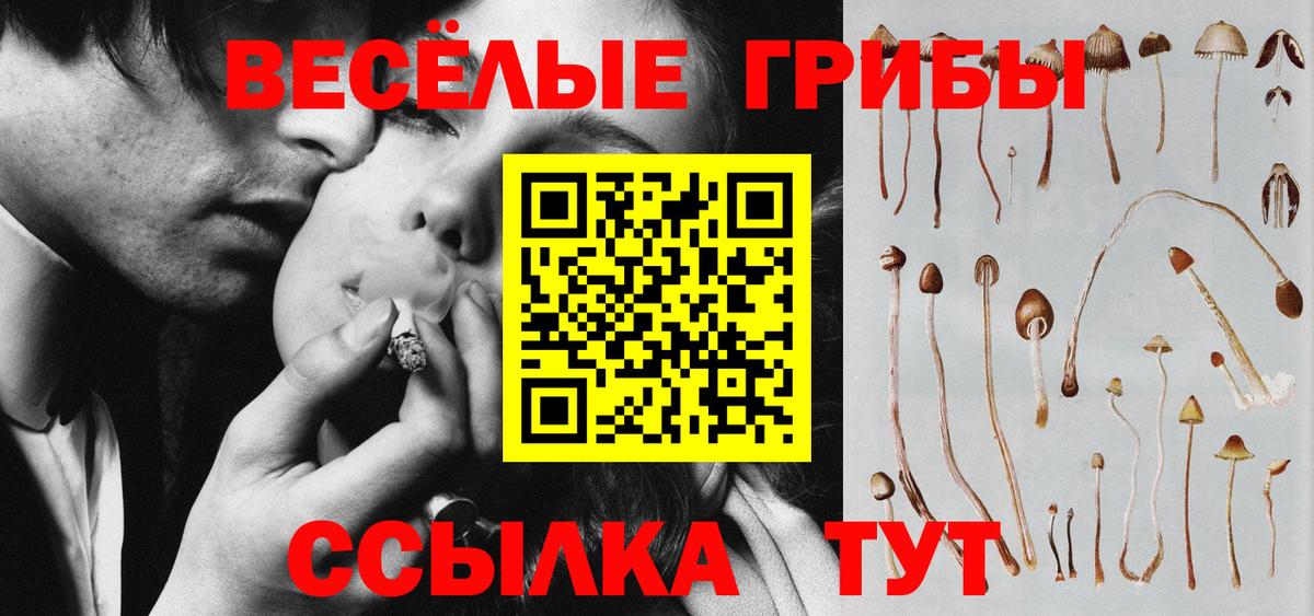 Псилоцибиновые грибы MAGIC MUSHROOMS  Вход с VPN  Карасук  цена   Галлюциногенные грибы GOLDEN TEACHER 