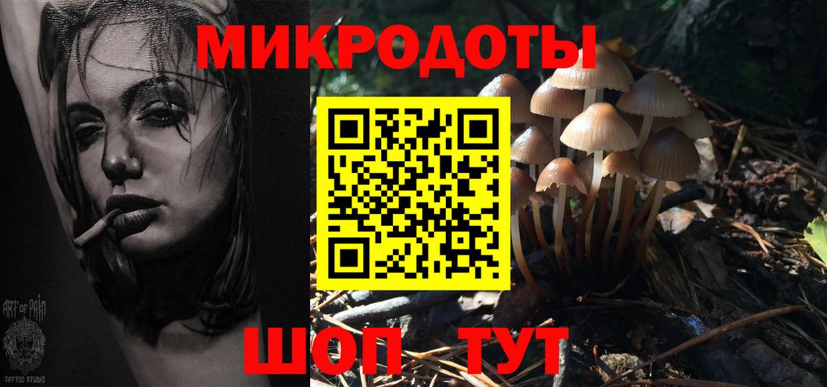 Галлюциногенные грибы Psilocybine cubensis Карасук