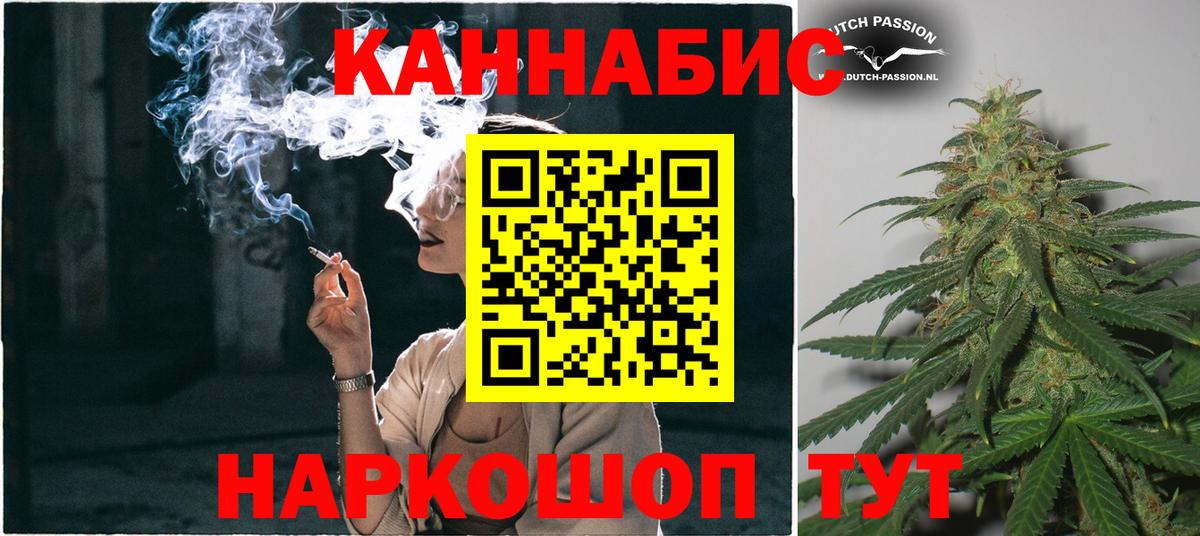 Конопля гибрид Карасук